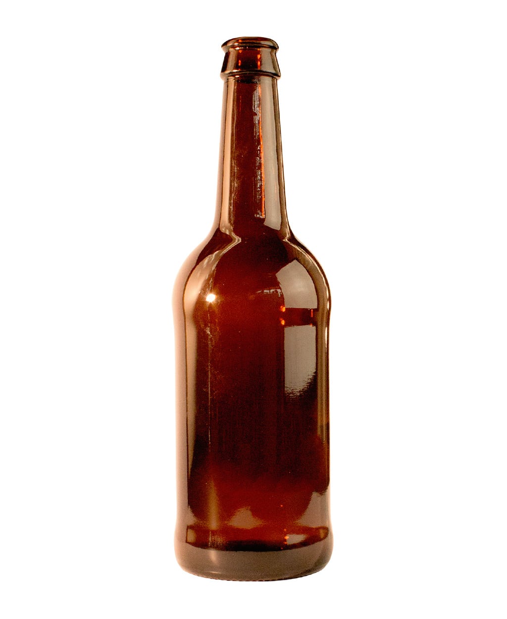 bouteille Bière 500ml PREMIUM - Fournisseur B2B