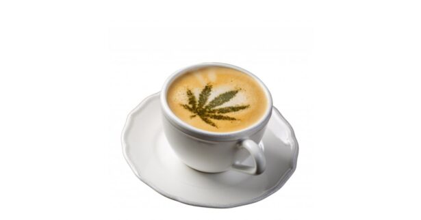 CBD-produkter är massiva inom hälsa och välbefinnande
