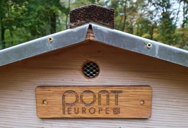 Update on the Pont bees