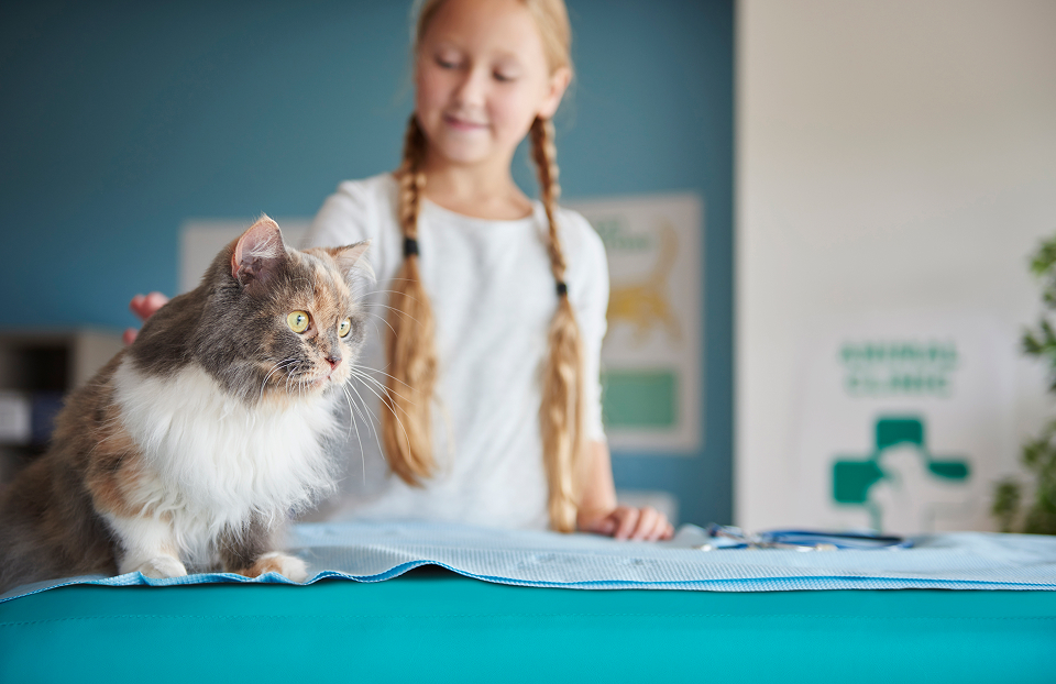 <span class="details"><span class="title">Pet treatments and care solutions</span></span>